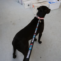 “The Max” Dog Leash - Be Kind to Everyone