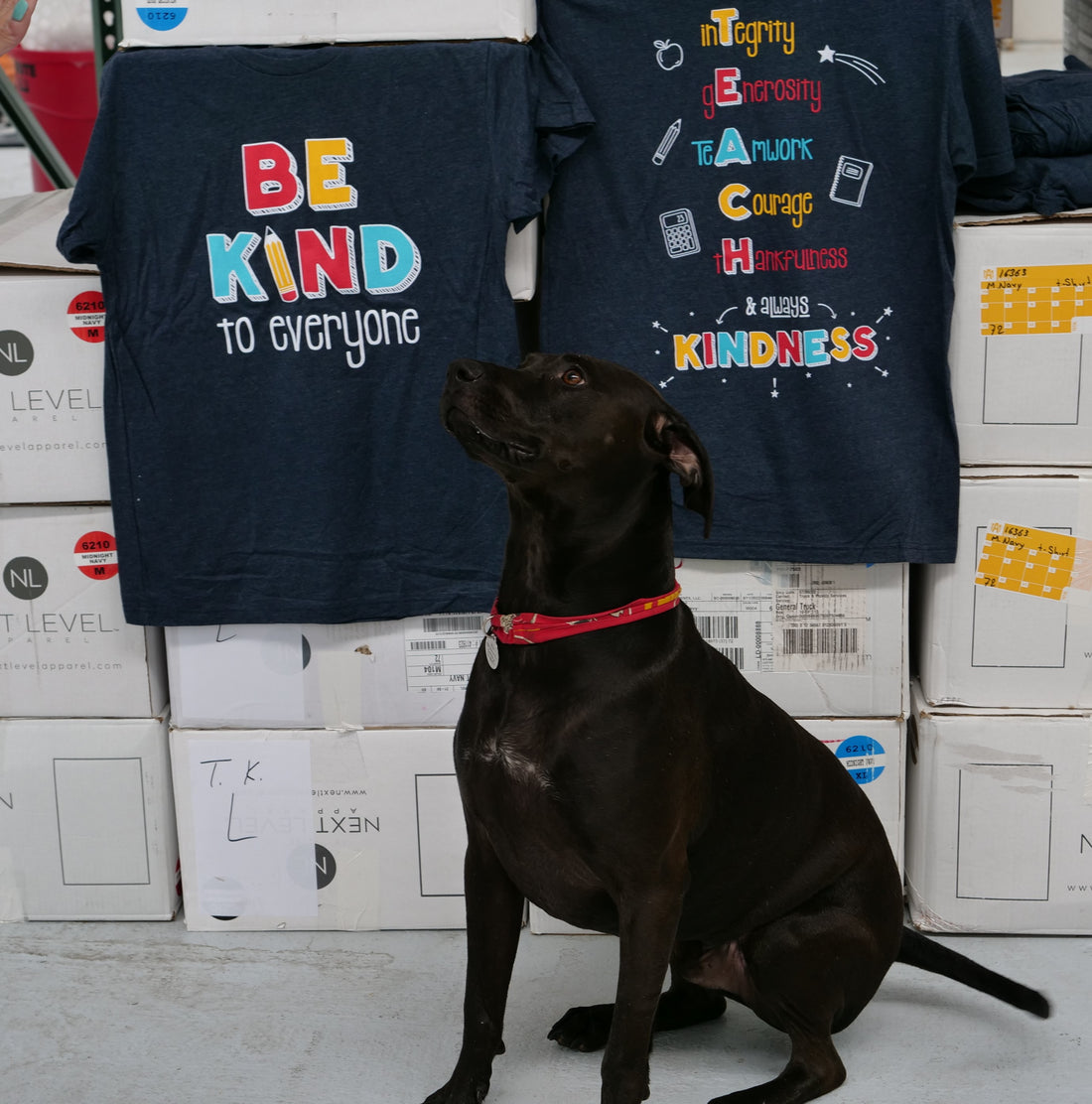 Our dog Max, proudly posing in front of our "T.E.A.C.H. Kindness" Be Kind to Everyone® short-sleeve tee.